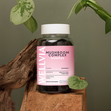 Mushroom Complex Gummies