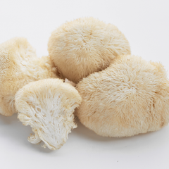 Lion’s Mane Mushroom